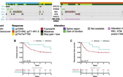 New publication: Assessment of Predictive Genomic Biomarkers for Response to Cisplatin-based Neoadjuvant Chemotherapy in Bladder Cancer