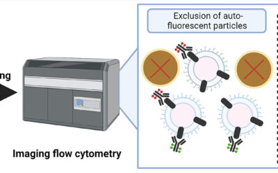 New publication: Isolation-free measurement of single urinary extracellular vesicles by imaging flow cytometry