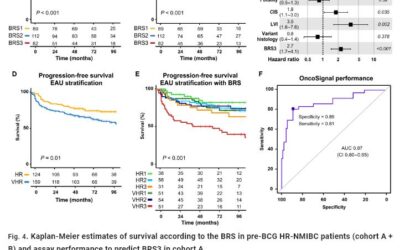 New publication: Non-muscle-invasive bladder cancer molecular subtypes predict differential response to intravesical Bacillus Calmette-Guérin